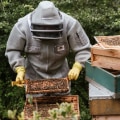 A Comprehensive Guide to Hive Tools for Beekeepers