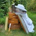 How to Get Started with Beekeeping: A Comprehensive Guide to Understanding the Basics and Beyond