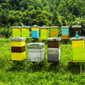 How to build a cheap beehive?