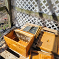 Splitting a Hive: Tips for Successful Swarm Prevention and Management