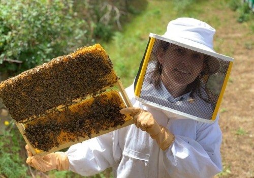 The Surprising Benefits of Beekeeping