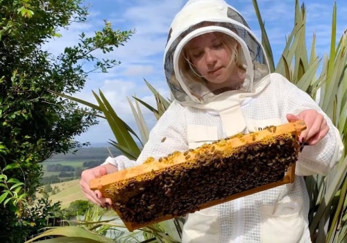 All You Need to Know About Virtual Beekeeping Courses
