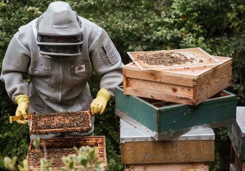 How to Select the Right Equipment for Beekeeping